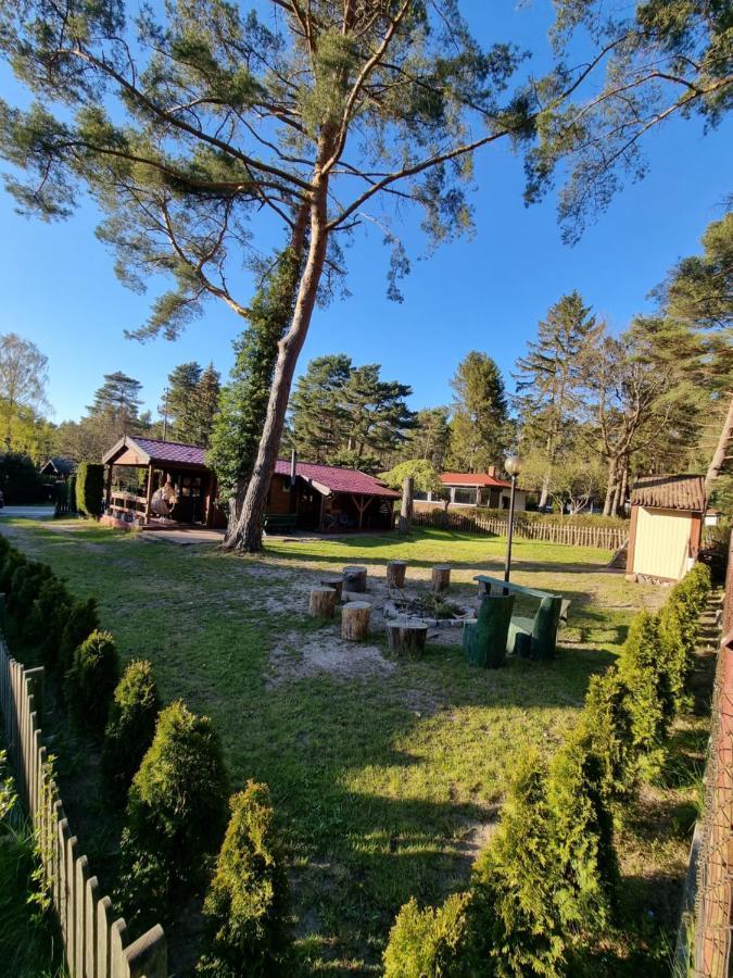Lesna Ostoja Holiday home *